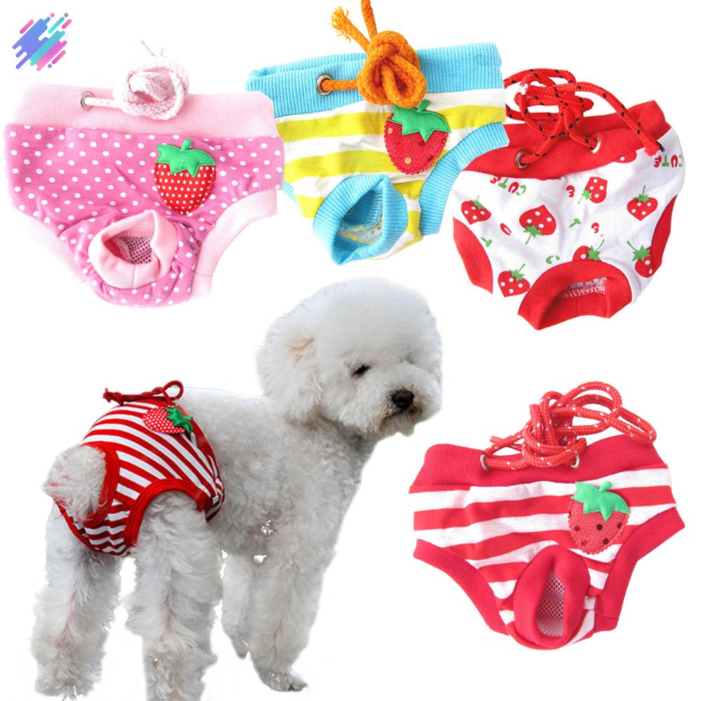 Quần tã sinh lý kiểu dáng xinh xắn cho thú cưng giống cái size S/ M/ L/ XL