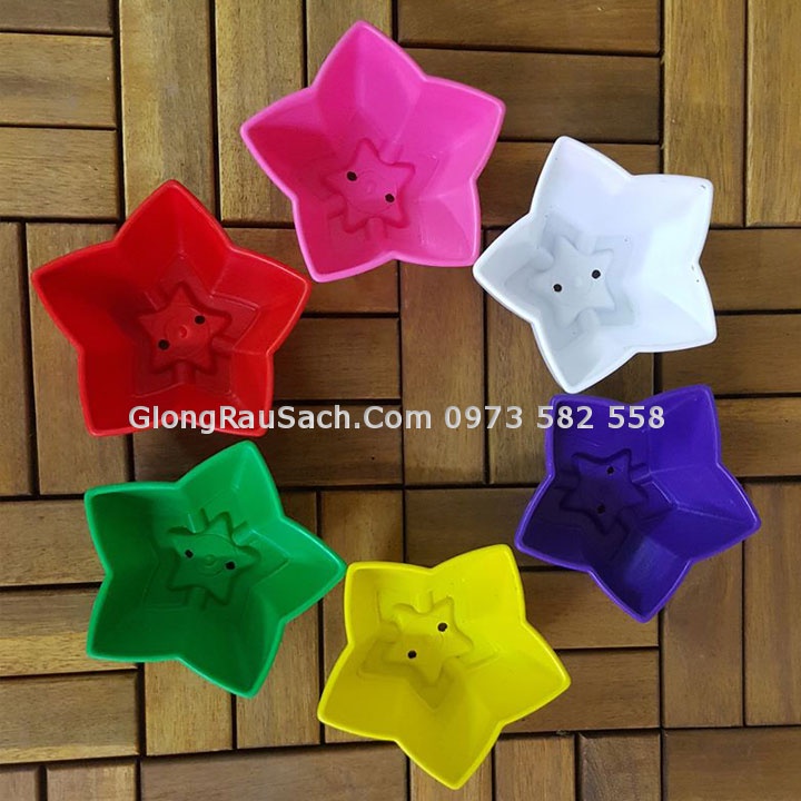 Chậu trồng cây mini sen đá sương rồng (Thanh lý) Hàng mới chưa sử dụng