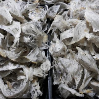 Tổ yến thô nguyên chất