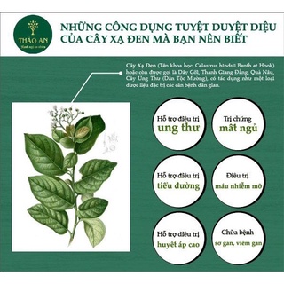 Trà xạ đen túi lọc Thảo An (60gr)