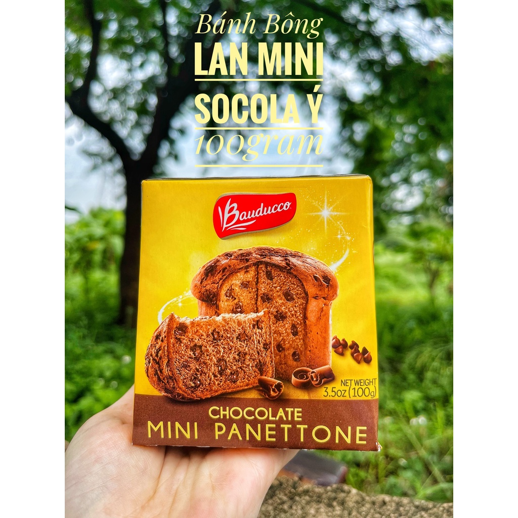 Bánh bông lan 80Gram men tự nhiên ⚡ GIÁ TỐT NHẤT ⚡ Bánh mì nhân Trái cây sấy và Socola Ý Panettone Bauducco 100g