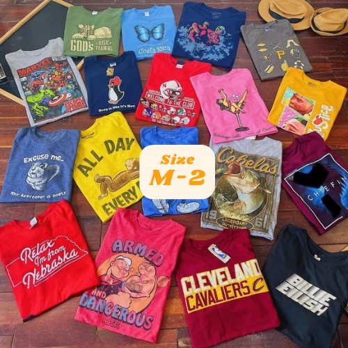 Áo Phông Mỹ 2hand, Áo Thun Unisex Nam Nữ Secondhand Chọn Mẫu Qua Ảnh Hàng Tuyển Chọn Giá Rẻ