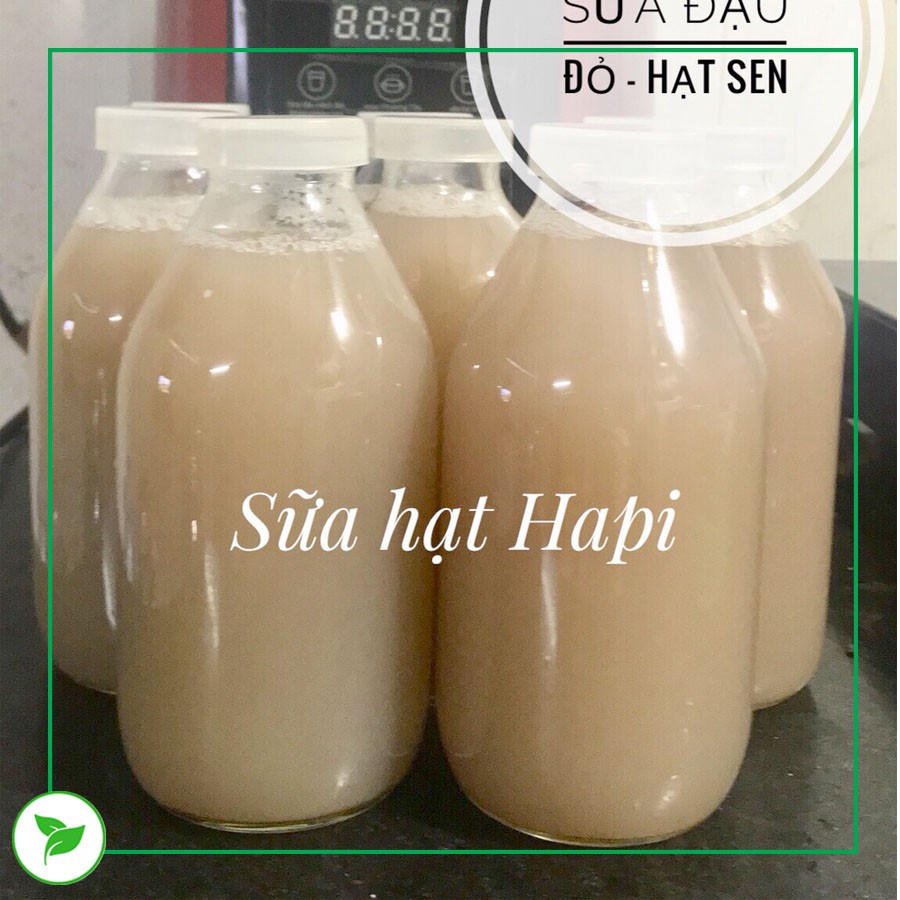 Chai Thủy Tinh, Chai Đựng Sữa Hạt 300ml - Combo 12 Chai