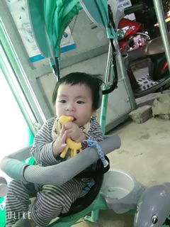 Gặm nướu hươu cao cổ Gb