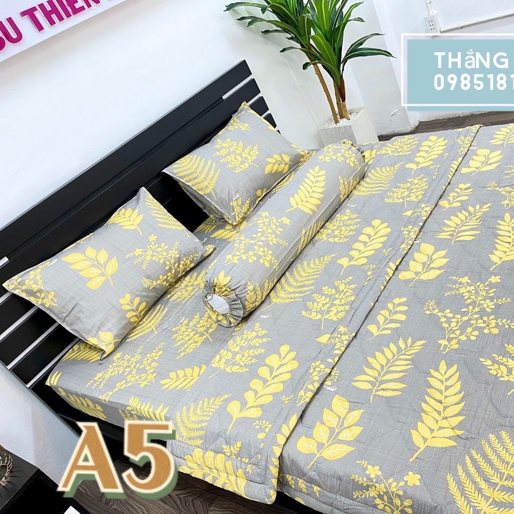 Drap Cotton ga giường 100% chính hãng, ga trải giường, Mềm Mịn Mát, Không xù Lông, Phai Màu
