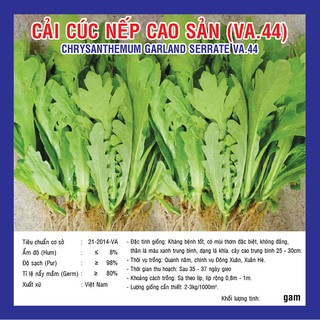 Hạt giống Cải Cúc Nếp Cao Sản (VA.44)