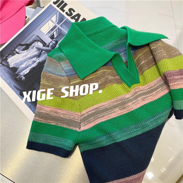 0206AP - Áo polo sắc màu nữ