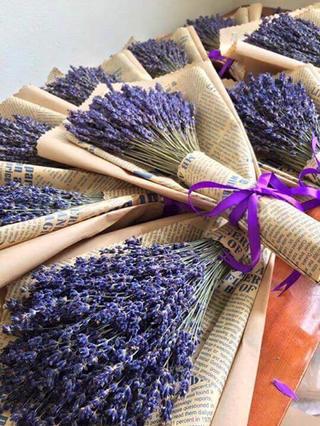 Hoa lavender - Hoa Pháp đủ bill