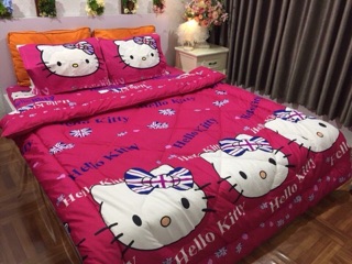 Bộ chăn phao ga chun poly
