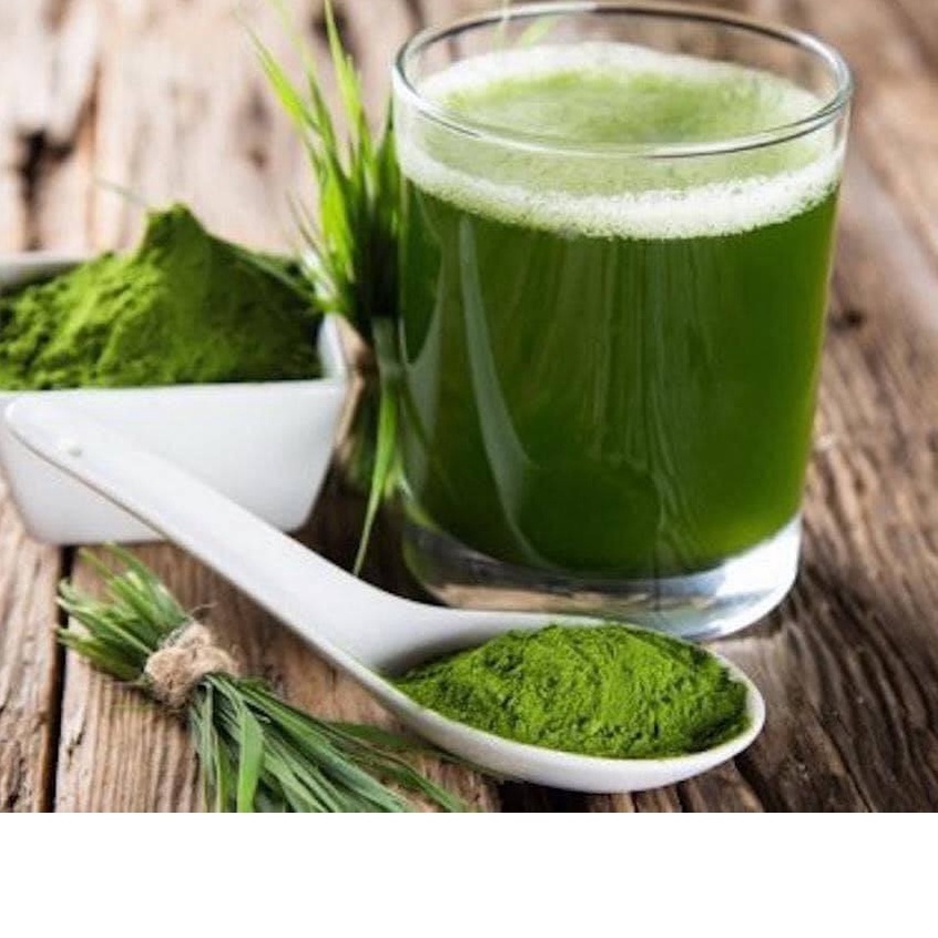 Bột lúa non, trà lúa non 44 gói Nhật Bản