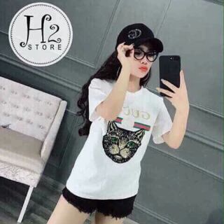 Áo mèo kim sa