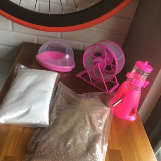 Cát buddy lót chuồng dành cho hamster