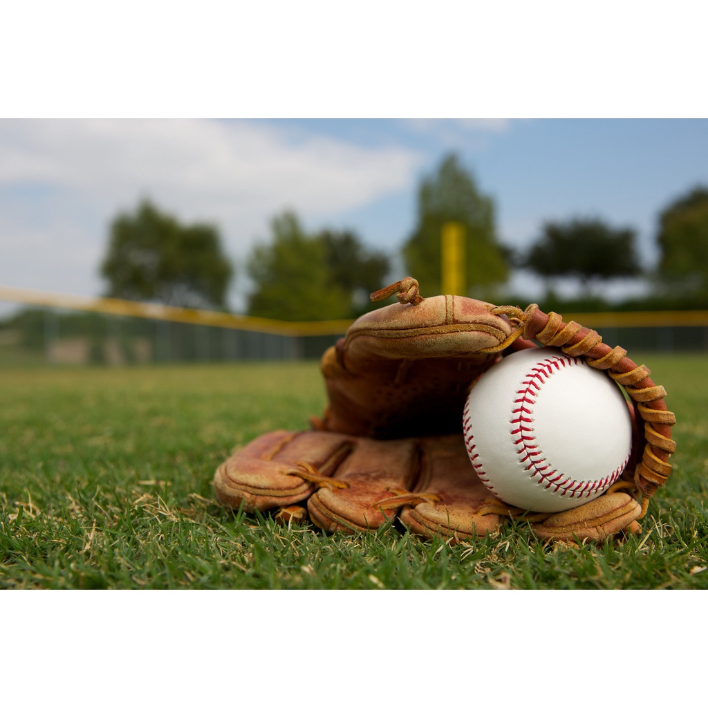 Quả Bóng Chày Da Mềm - Baseball - loại nặng cao cấp dùng cho người lớn sử dụng