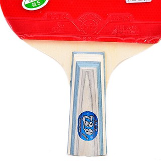 Vợt Bóng Bàn 729-1060