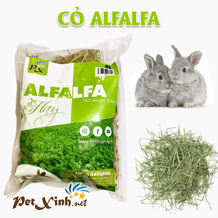 Cỏ Alfalfa khô PetXinh 500g sợi mềm thơm mới thức ăn chính cho thỏ bọ ú guinea pig chillala và các thú cưng ăn cỏ