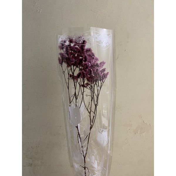 Hoa sao thuỷ tinh khô, Hoa khô Limonium, Hoa Sao Khô trang trí bàn làm việc, nhà cửa sang trọng