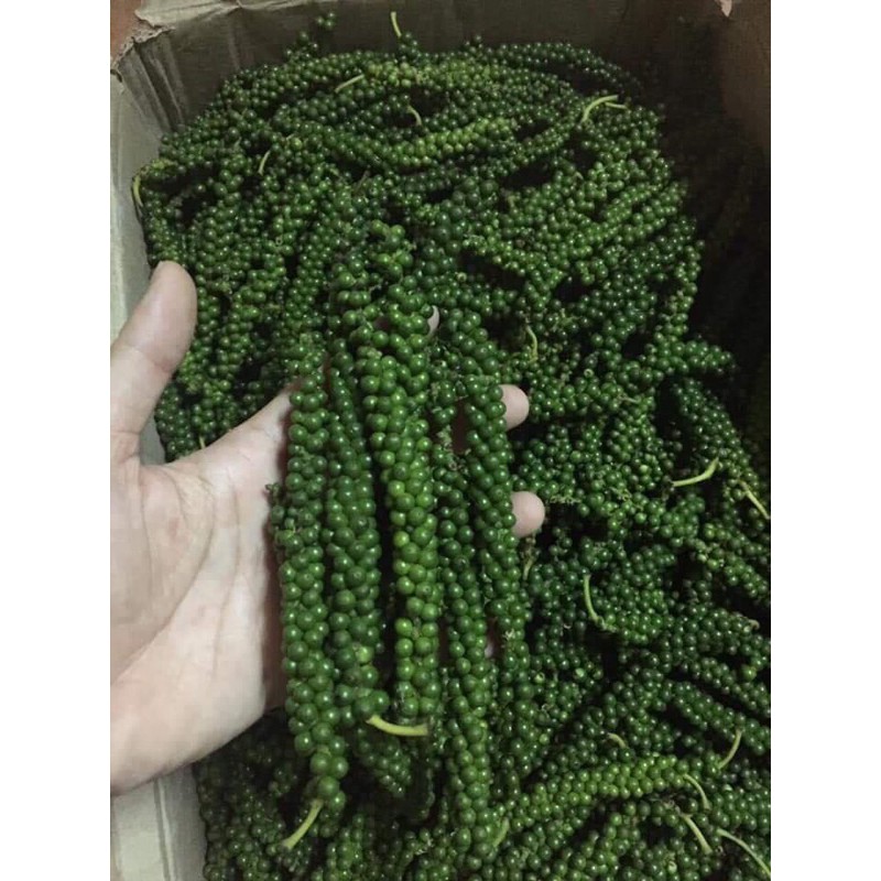 Tiêu xanh nguyên chùm 1 kg- hàng tươi không nhận gửi các tỉnh phía Nam