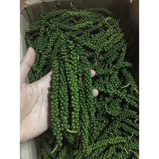 Tiêu xanh nguyên chùm 1 kg- hàng tươi không nhận gửi các tỉnh phía Nam