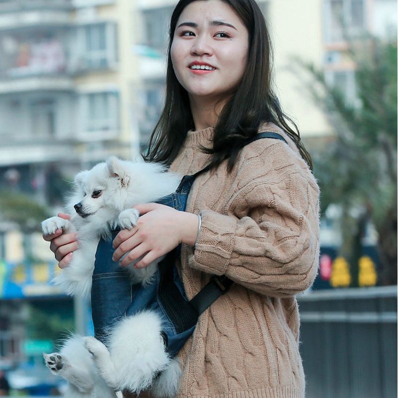 Địu chó mèo, thú cưng cho poodle, pull, samoyed - Địu vải lưới thoáng khí dễ thương chó, mèo 3 Size SML ngaupetshop