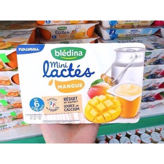 Sữa chua Bledina Pháp 6h*60gram