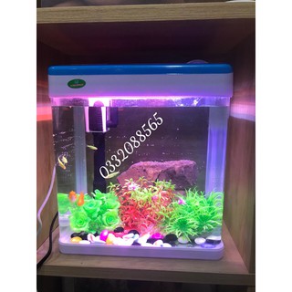 Bộ bể cá văn phòng MJ 260. Bể cá phong thủy, bể cá thủy sinh cỡ nhỏ