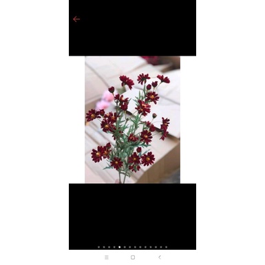Cúc hoạ mi giả cành 75 cm hàng loại 1