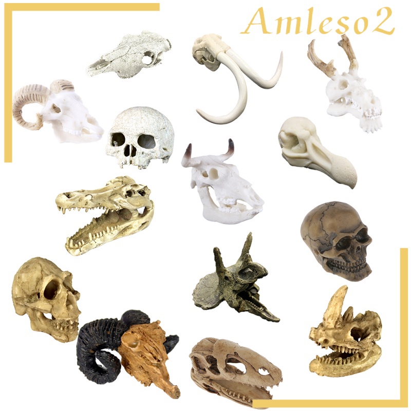 Đầu lâu / hang động rắn dùng làm đồ trang trí môi trường sống cho bò sát