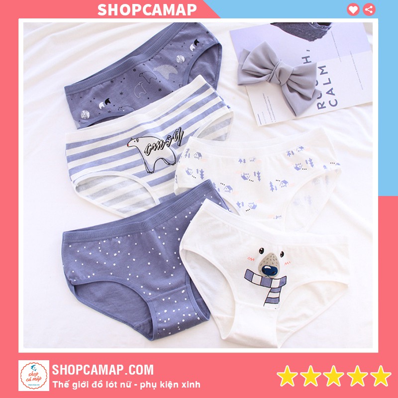 (Tặng chun buộc tóc) SET 5 QUẦN LÓT NỮ COTTON SIÊU XINH GẤU BẮC CỰC DỄ THƯƠNG - S506