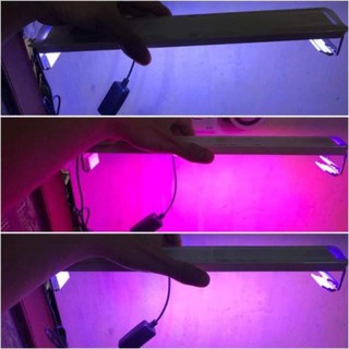 Đèn led đổi màu cho bể thủy sinh bể cá cảnh- đèn đánh màu đỏ cho cá