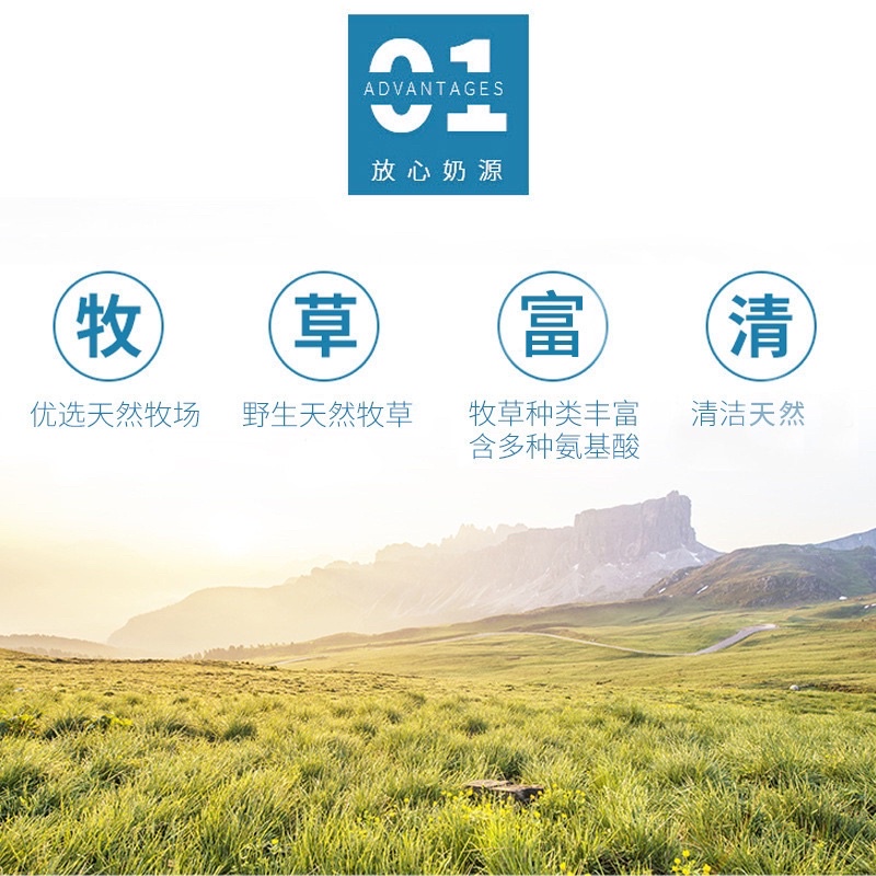 Sữa cho chó con Borammy Sữa bột cho chó cung cấp vitamin phát triển toàn diện BM06