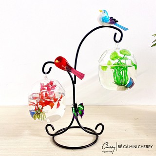 Bể Cá Mini Chữ X - 05 ( Tặng Kèm Phụ Kiện Trang Trí )