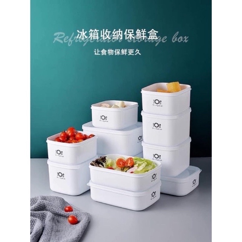 Sét 4 hộp đựng thực phẩm trữ đông trong tủ lạnh