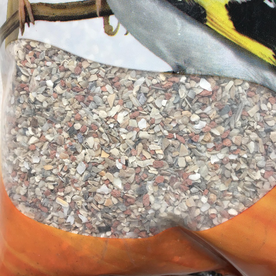 Khoáng Grit Cho chim