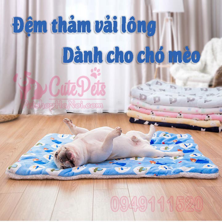 Đệm thảm vải lông mềm mại dành cho chó mèo - CutePets Phụ kiện thú cưng Pet shop Hà Nội
