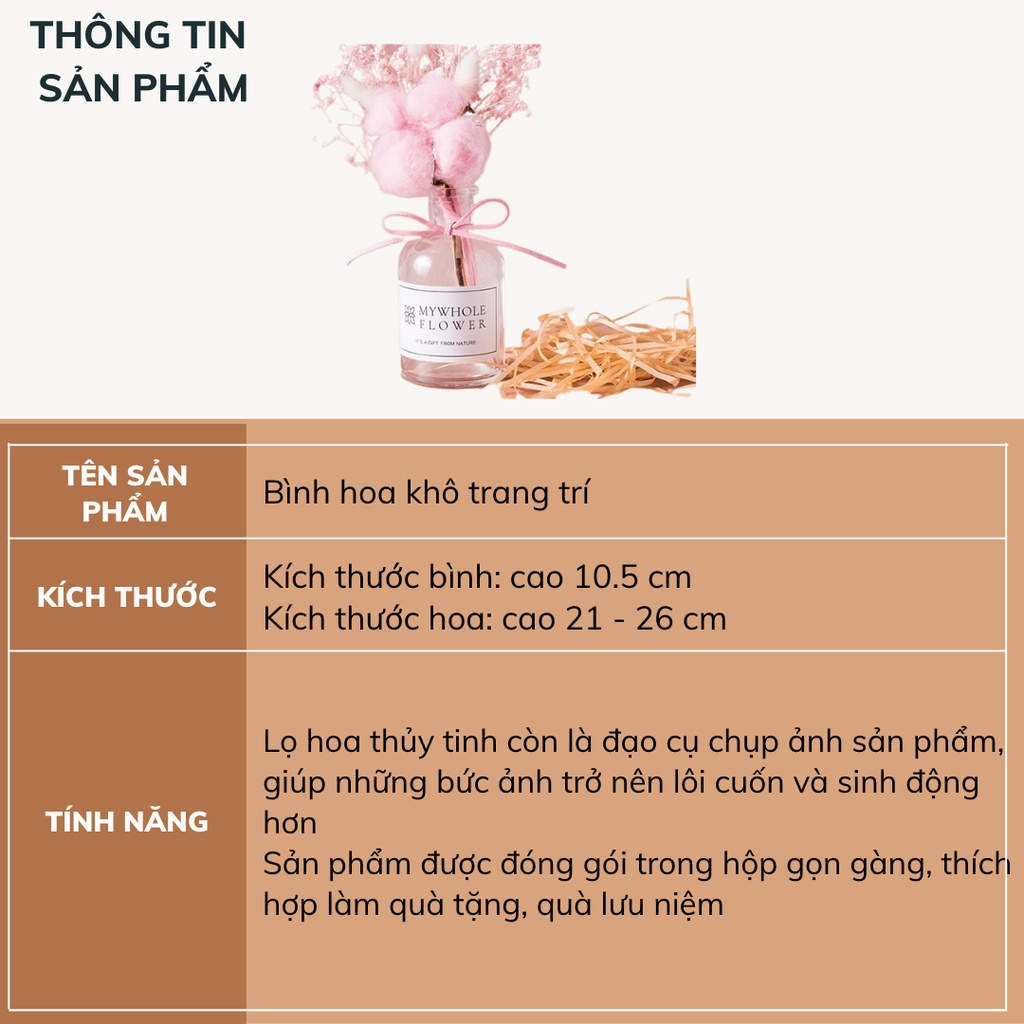 Bình hoa khô trang trí phong cách Bắc Âu DECOSA