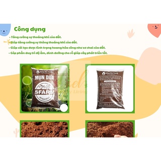 Mùn Dừa, Xơ Dừa Đã Qua Xử Lý 5DM3 Trồng Rau Sạch và Hoa Hồng Bằng Đất Sạch, Xơ Dừa, Trấu Hun Và Phân Bón Hữu Cơ