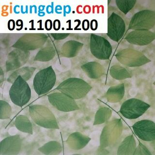 Decal dán kính/kiếng lá xanh