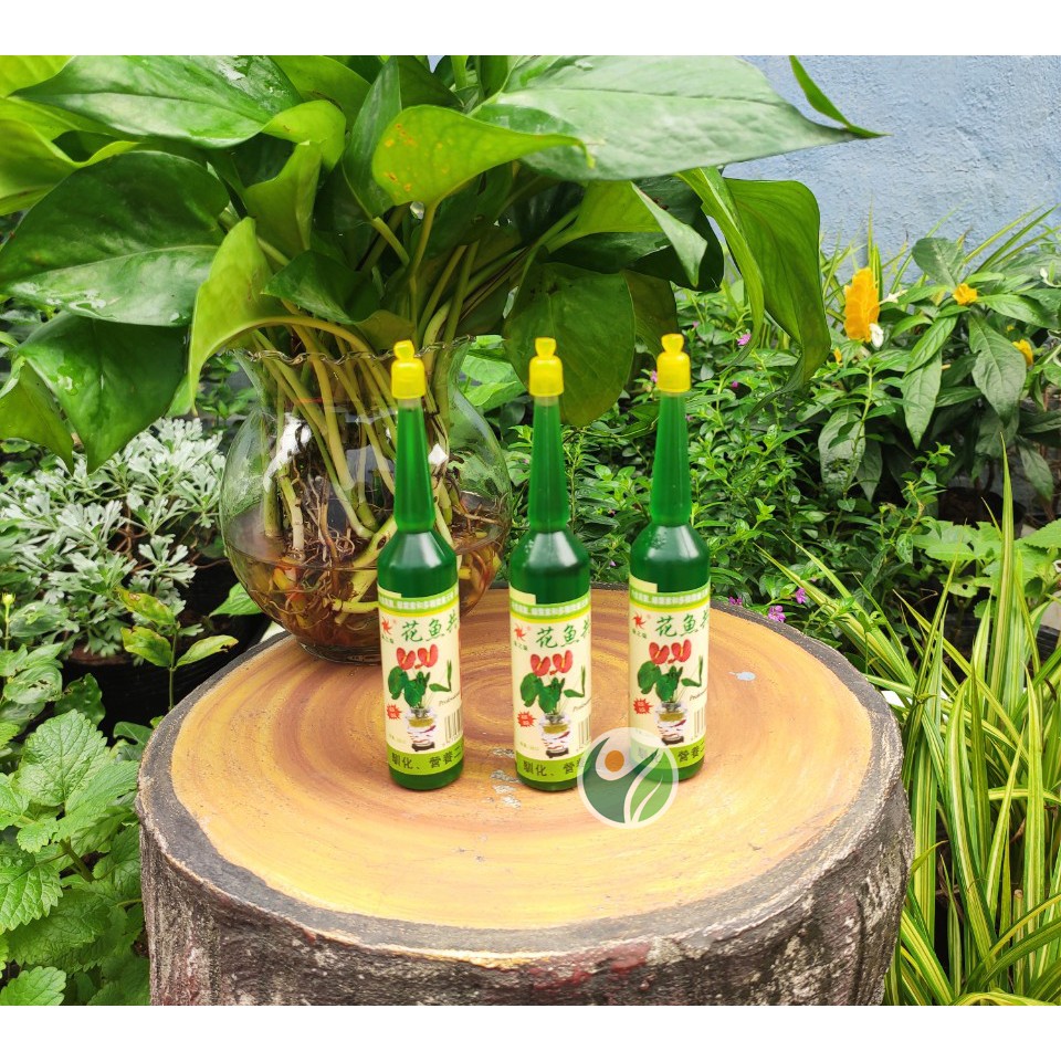 Dung dịch thủy canh cho cây trồng 1 lọ màu xanh.nongnghiepvn