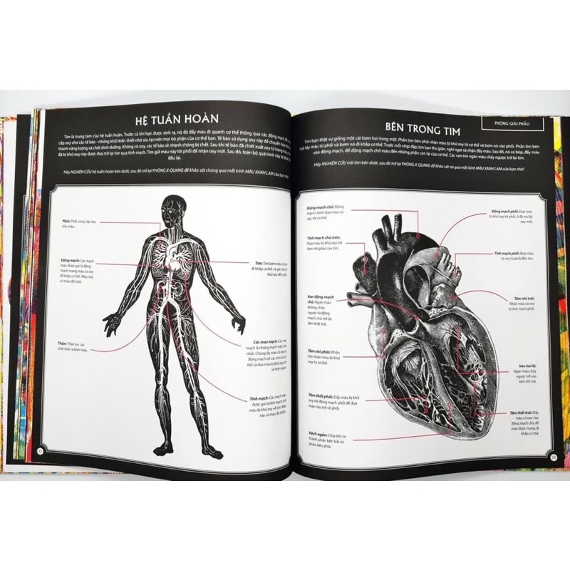 SÁCH - ILLUMANATOMY - Soi sáng Cơ thể người