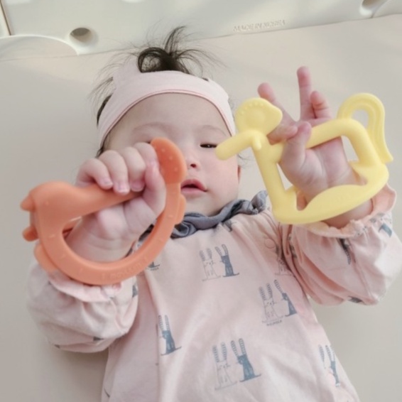 Set 2 gặm nướu Moyuum silicon cao cấp pony vàng và chim coral mới kèm hộp đựng