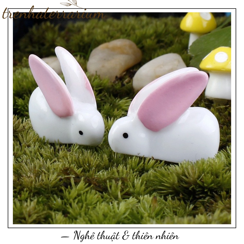 Tiểu cảnh thỏ con trang trí sen đá, xương rồng, terrarium, charm slime, cây cảnh mini, cây để bàn, đồ trang trí