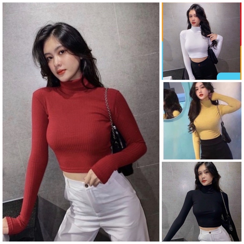 Áo thung crottop tay dài cổ lọ
