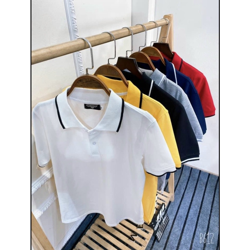 Áo Thun Nam Polo Cổ Bẻ có viền trang trí nam chất thun đẹp 6 mầu,chất cotton đẹp
