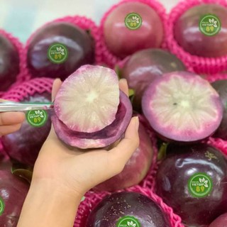 Vú Sữa  Mika....chuẩn giống