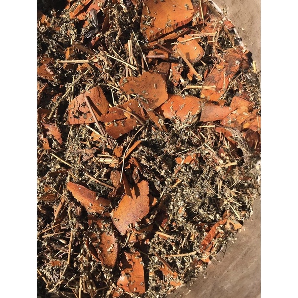 Sữa tắm gội cho mẹ & bé