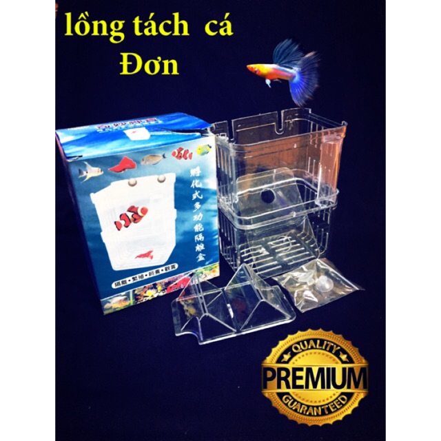 [Rẻ Vô Địch]Lồng Đẻ Cho Cá Cảnh,Tách và Dưỡng Cá SHENBAO trong suốt 10x7x12cm-loại tốt nhất