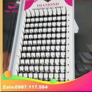Mi trụ cong C, Cc, D (chập 3.4 sợi)