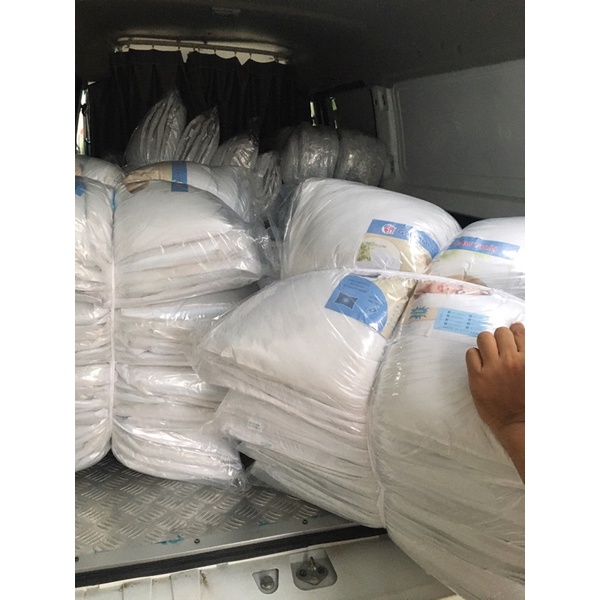 Ruột Gối hơi THƯ THÁI cao cấp nằm & ôm sỉ lẻ toàn quốc