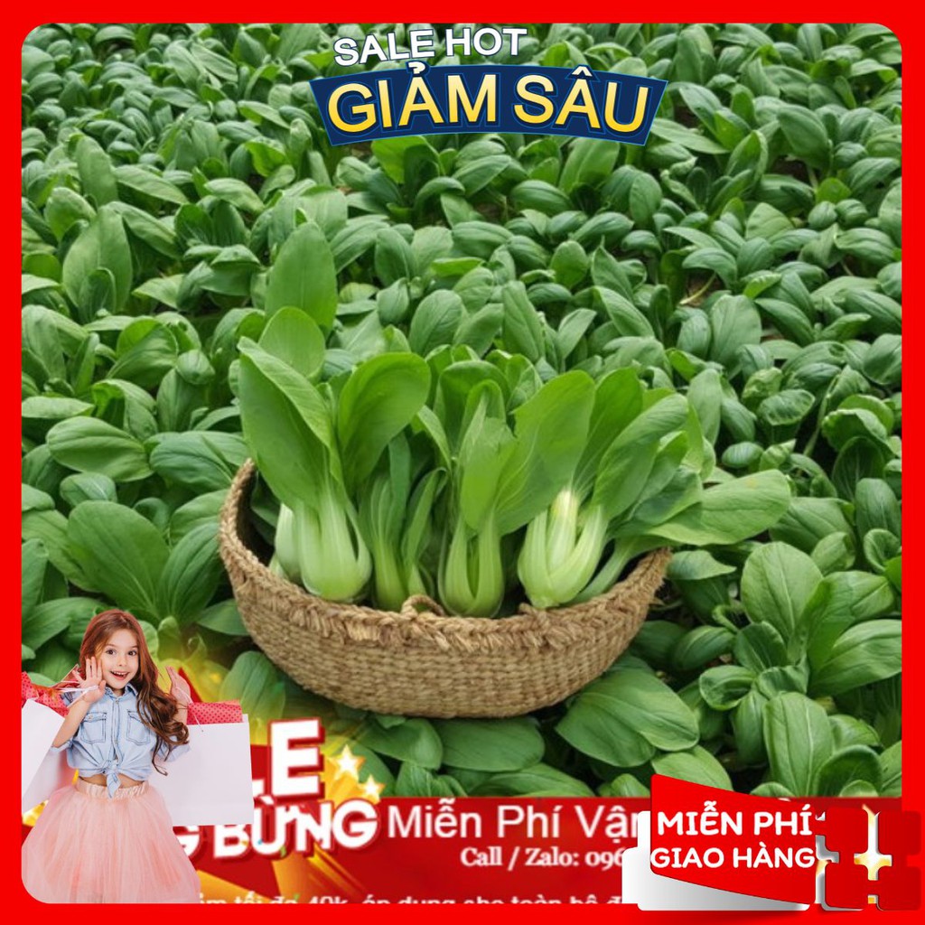 Hạt Giống Cải Chít - 100 Hạt / Gói