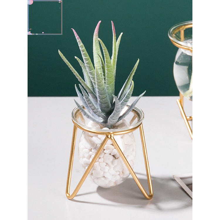 Lọ hoa thủy tinh trong suốt thân thiện với môi trường DIY